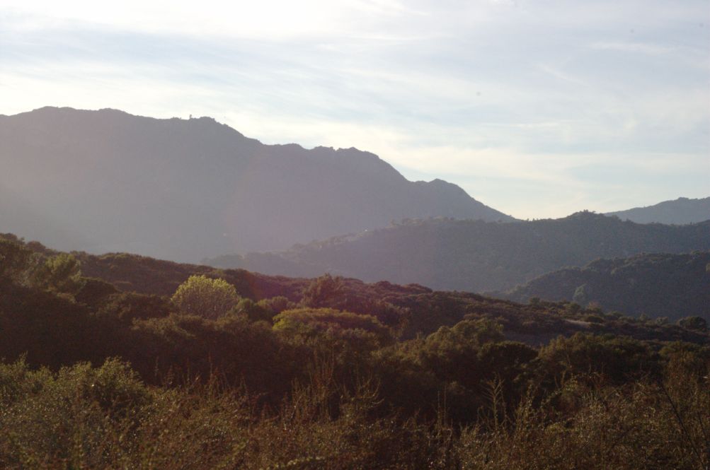 View of Topanga State Park and Topanga Canyon — from one of the hiking trails in the Santa Monica Mountains National Recreation Area.